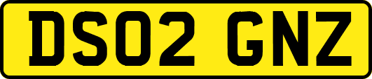 DS02GNZ