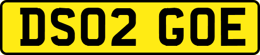 DS02GOE