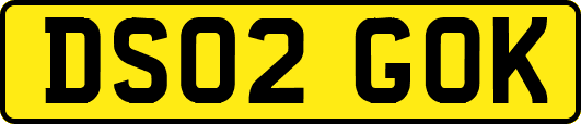 DS02GOK