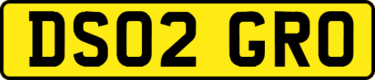 DS02GRO