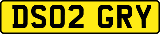 DS02GRY