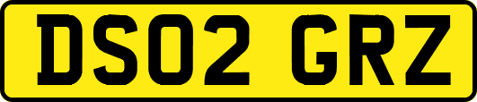 DS02GRZ