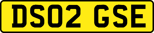 DS02GSE