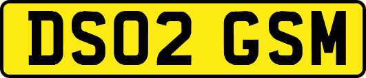DS02GSM