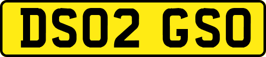 DS02GSO