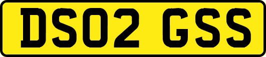 DS02GSS