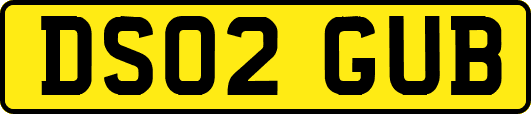 DS02GUB