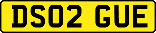 DS02GUE