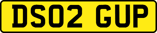 DS02GUP