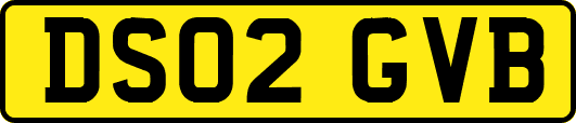 DS02GVB