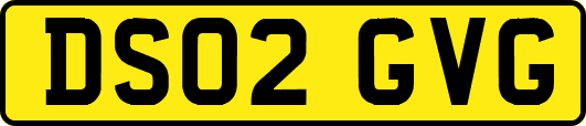 DS02GVG