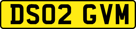 DS02GVM