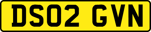 DS02GVN