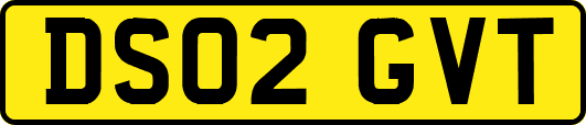 DS02GVT