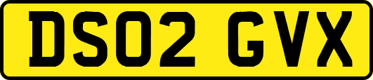 DS02GVX