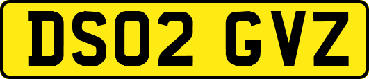 DS02GVZ