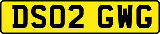 DS02GWG