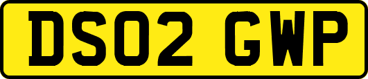 DS02GWP