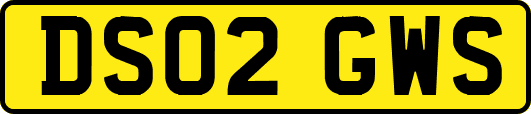 DS02GWS