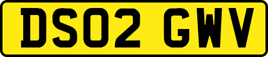 DS02GWV