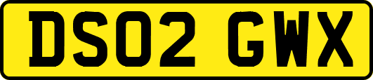 DS02GWX