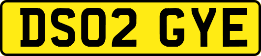 DS02GYE