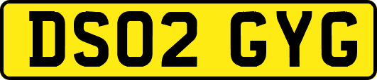 DS02GYG
