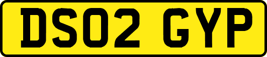 DS02GYP