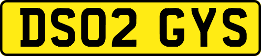 DS02GYS