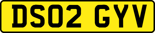 DS02GYV