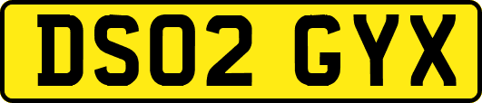 DS02GYX