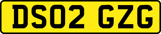 DS02GZG