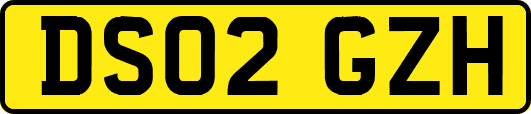 DS02GZH