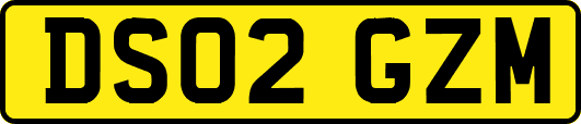 DS02GZM
