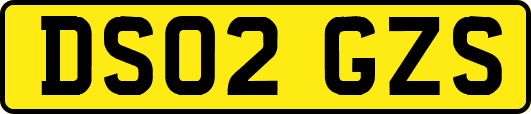 DS02GZS