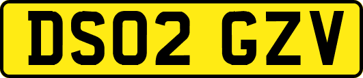 DS02GZV