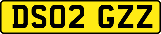 DS02GZZ