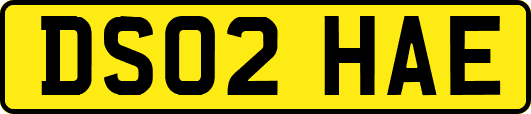 DS02HAE