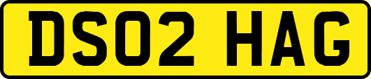 DS02HAG