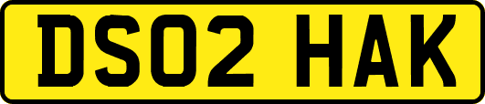 DS02HAK