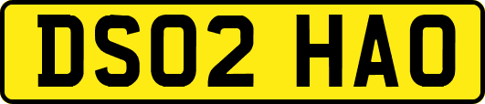 DS02HAO