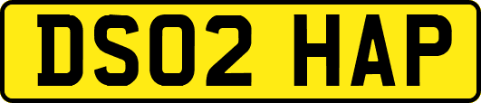 DS02HAP