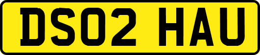 DS02HAU