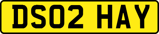DS02HAY