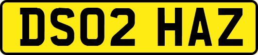 DS02HAZ