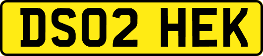 DS02HEK