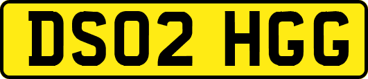 DS02HGG