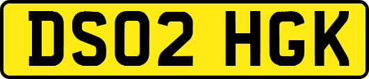 DS02HGK