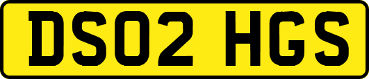 DS02HGS