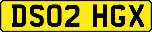 DS02HGX